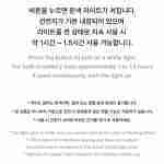 Llavero Keyring Seventeen Light Stick Ver.3