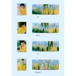 Seventeen - Seventeenth Heaven 11th Mini Album Carat Ver