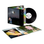 Harry Styles Kiss All The Time. Disco Occasionally Lp Vinilo